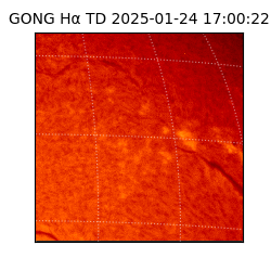 gong - 2025-01-24T17:00:22