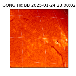 gong - 2025-01-24T23:00:02