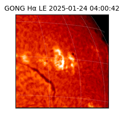 gong - 2025-01-24T04:00:42
