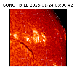 gong - 2025-01-24T08:00:42