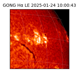 gong - 2025-01-24T10:00:43
