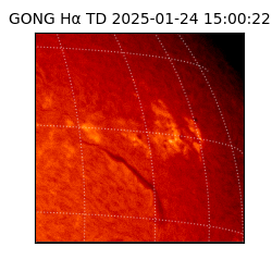 gong - 2025-01-24T15:00:22