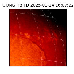 gong - 2025-01-24T16:07:22