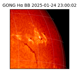 gong - 2025-01-24T23:00:02