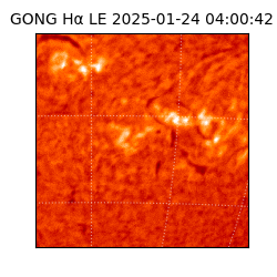 gong - 2025-01-24T04:00:42