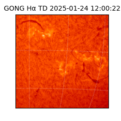 gong - 2025-01-24T12:00:22
