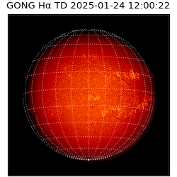 gong - 2025-01-24T12:00:22
