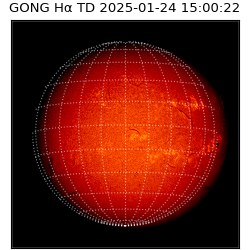 gong - 2025-01-24T15:00:22