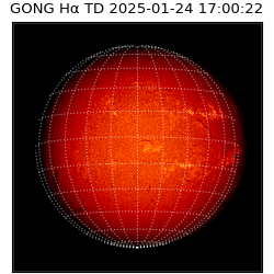 gong - 2025-01-24T17:00:22