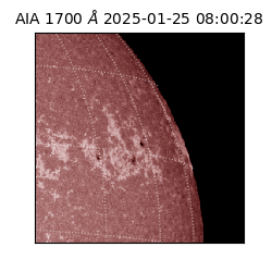 saia - 2025-01-25T08:00:28.717000
