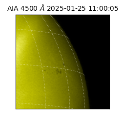 saia - 2025-01-25T11:00:05.962000