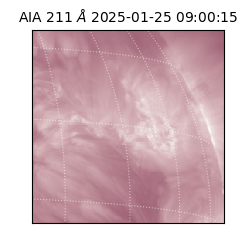 saia - 2025-01-25T09:00:15.460000