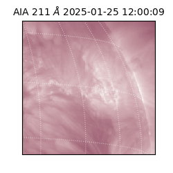 saia - 2025-01-25T12:00:09.630000