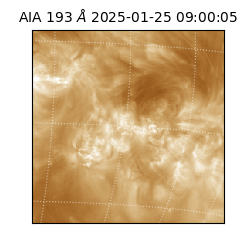 saia - 2025-01-25T09:00:05.468000