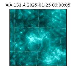 saia - 2025-01-25T09:00:05.117000