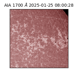saia - 2025-01-25T08:00:28.717000