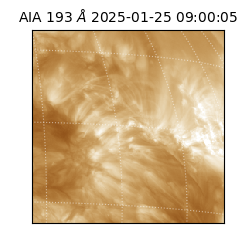 saia - 2025-01-25T09:00:05.468000