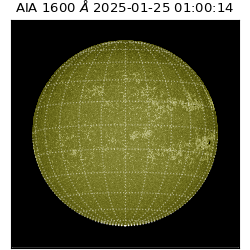 saia - 2025-01-25T01:00:14.130000