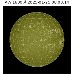 saia - 2025-01-25T08:00:14.126000