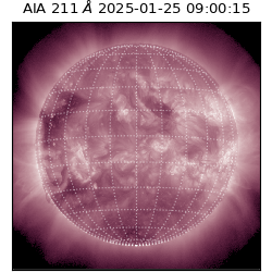 saia - 2025-01-25T09:00:15.460000