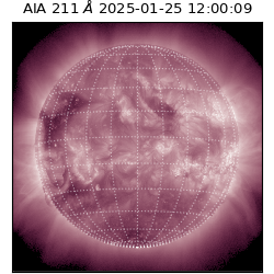 saia - 2025-01-25T12:00:09.630000