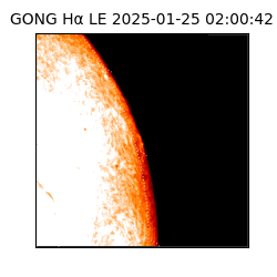 gong - 2025-01-25T02:00:42
