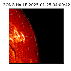 gong - 2025-01-25T04:00:42