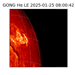 gong - 2025-01-25T08:00:42