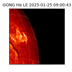 gong - 2025-01-25T09:00:43