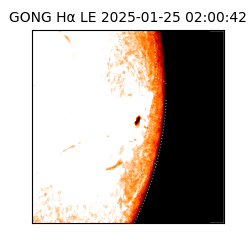 gong - 2025-01-25T02:00:42