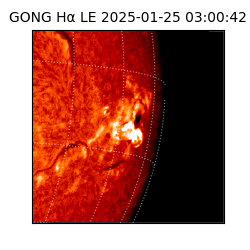 gong - 2025-01-25T03:00:42