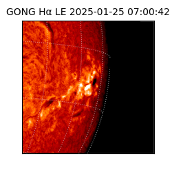 gong - 2025-01-25T07:00:42