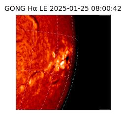 gong - 2025-01-25T08:00:42