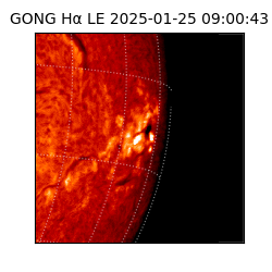 gong - 2025-01-25T09:00:43