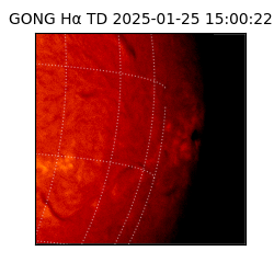 gong - 2025-01-25T15:00:22