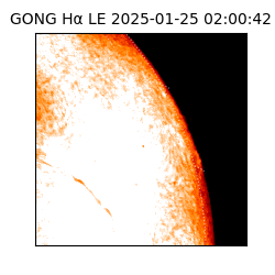 gong - 2025-01-25T02:00:42
