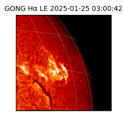 gong - 2025-01-25T03:00:42