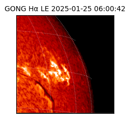 gong - 2025-01-25T06:00:42