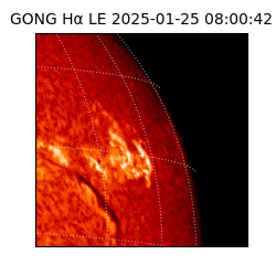 gong - 2025-01-25T08:00:42