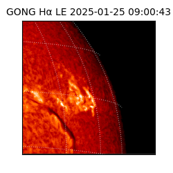 gong - 2025-01-25T09:00:43