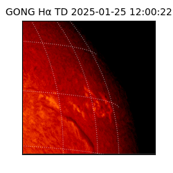 gong - 2025-01-25T12:00:22