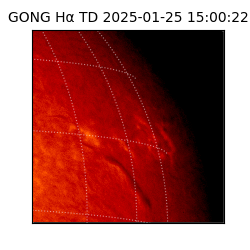 gong - 2025-01-25T15:00:22