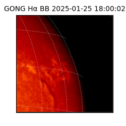 gong - 2025-01-25T18:00:02