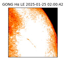 gong - 2025-01-25T02:00:42