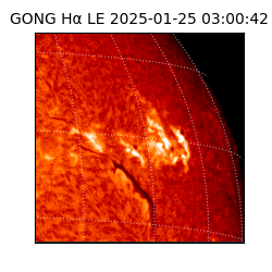 gong - 2025-01-25T03:00:42