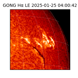 gong - 2025-01-25T04:00:42