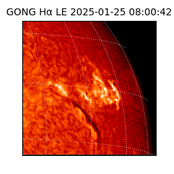 gong - 2025-01-25T08:00:42