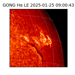 gong - 2025-01-25T09:00:43