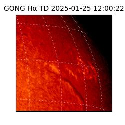 gong - 2025-01-25T12:00:22