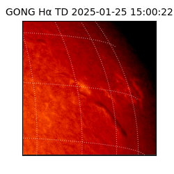 gong - 2025-01-25T15:00:22